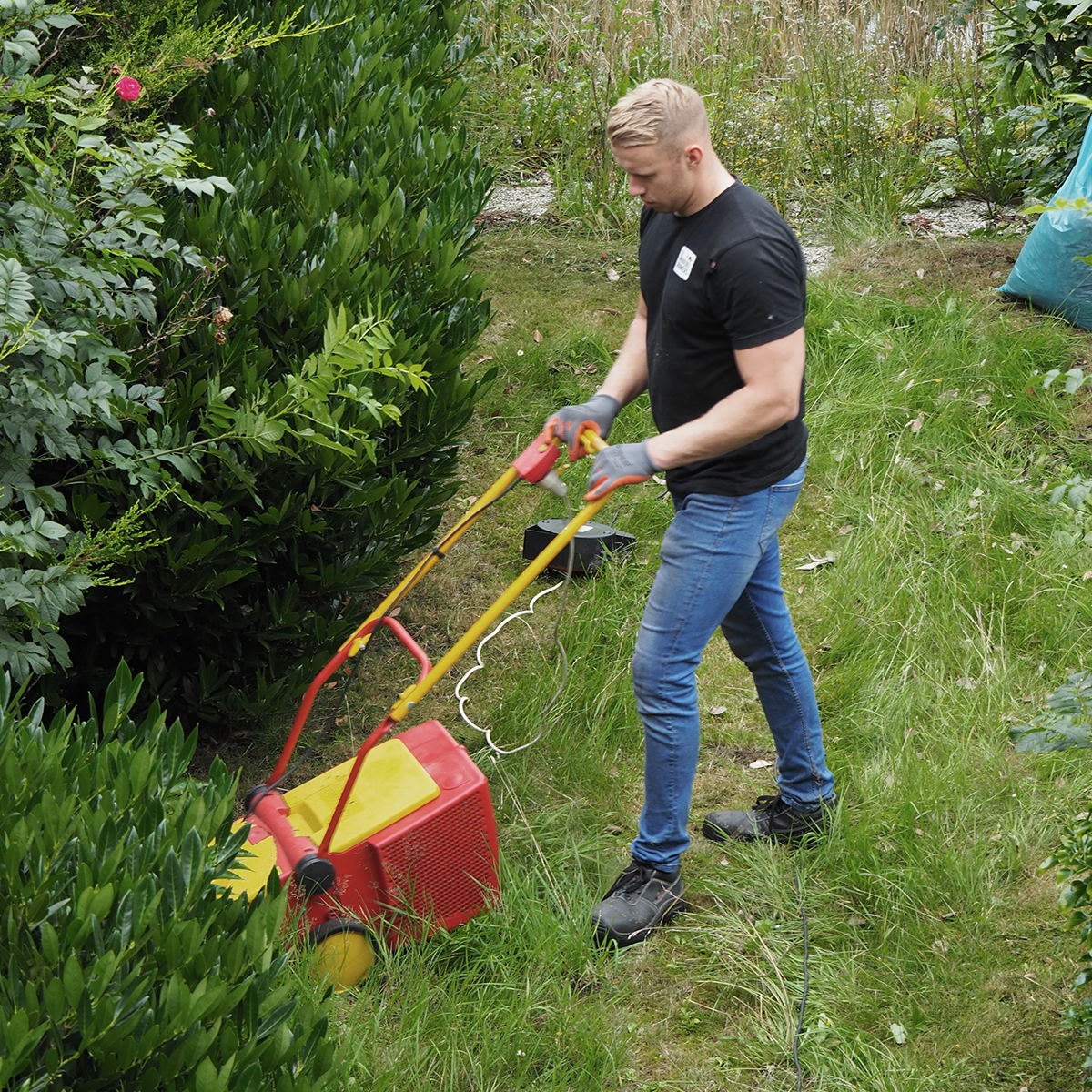 Tuin verkoopklaar & tuinonderhoud